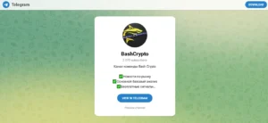 Подробнее о статье BashCrypto: отзывы про ТГ-канал. Проверка и обзор