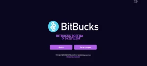 Подробнее о статье Bitbucks tech