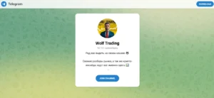 Подробнее о статье Wolf Trading