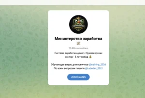 Подробнее о статье Министерство заработка 💸 отзывы 2026: Почему канал Владимира Лебедева – отличный выбор